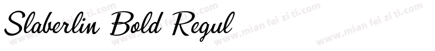 Slaberlin Bold Regul字体转换